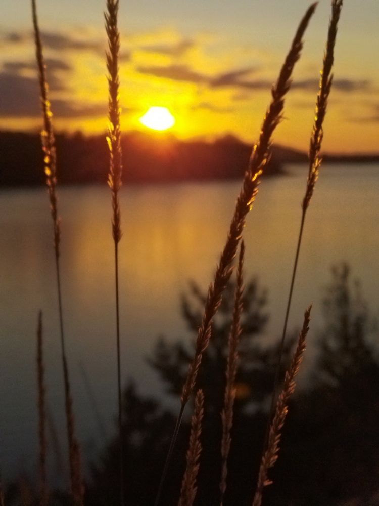 Photograph by Галина Хамаганова