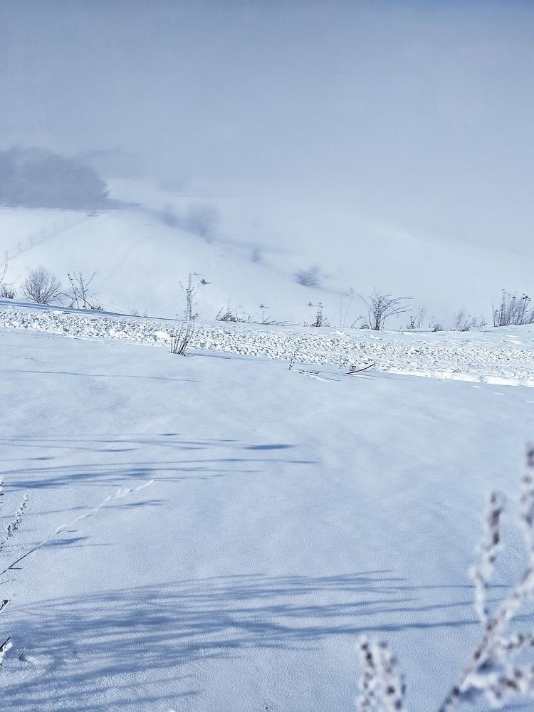 Photograph by Ольга Мартьянова