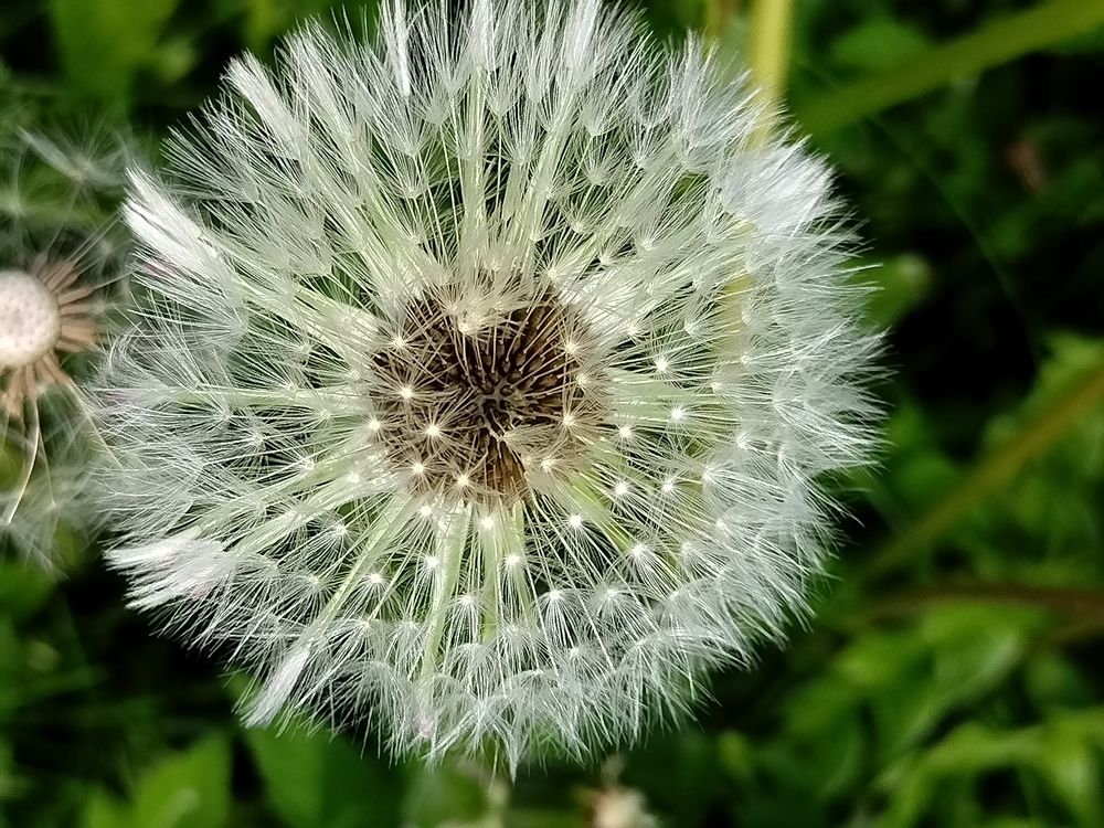 Photograph by Татьяна