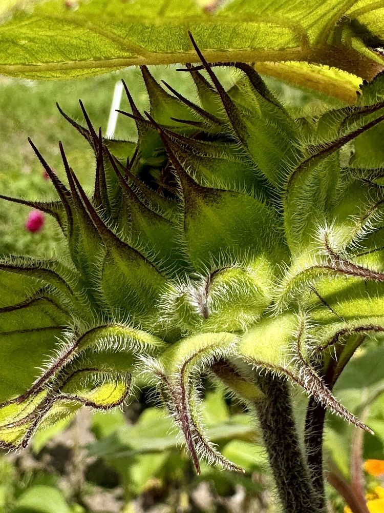 Photograph by Zhanna Kolesnikova