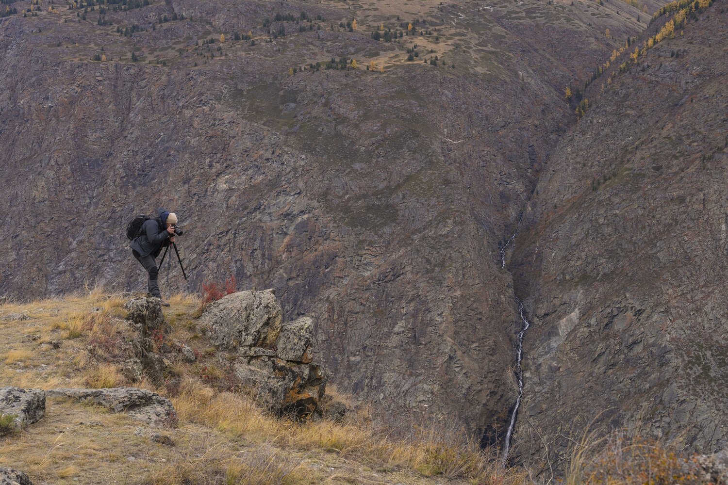 Photo #11407557
