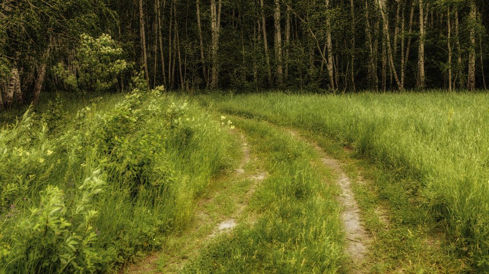 Фотография автора Кушпилева Марина