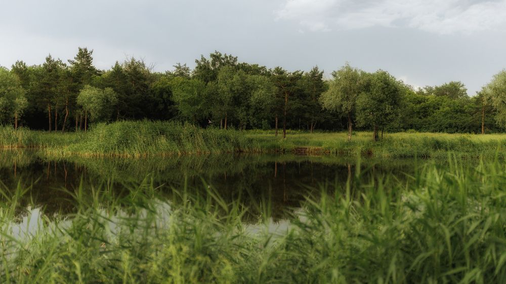 Фотография автора Кушпилева Марина