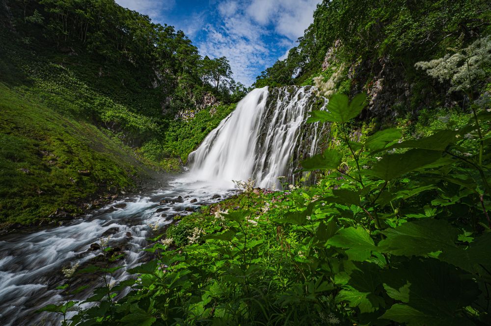 Photograph by Александр Мухин