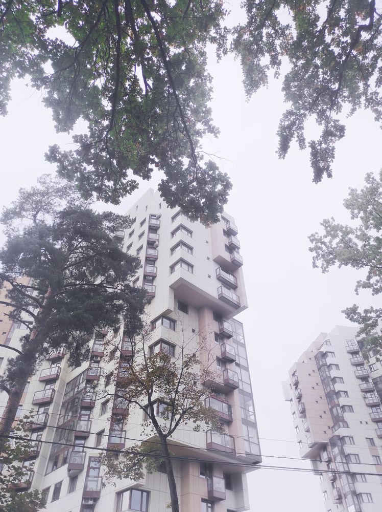 Photograph by Дмитрий Батраков