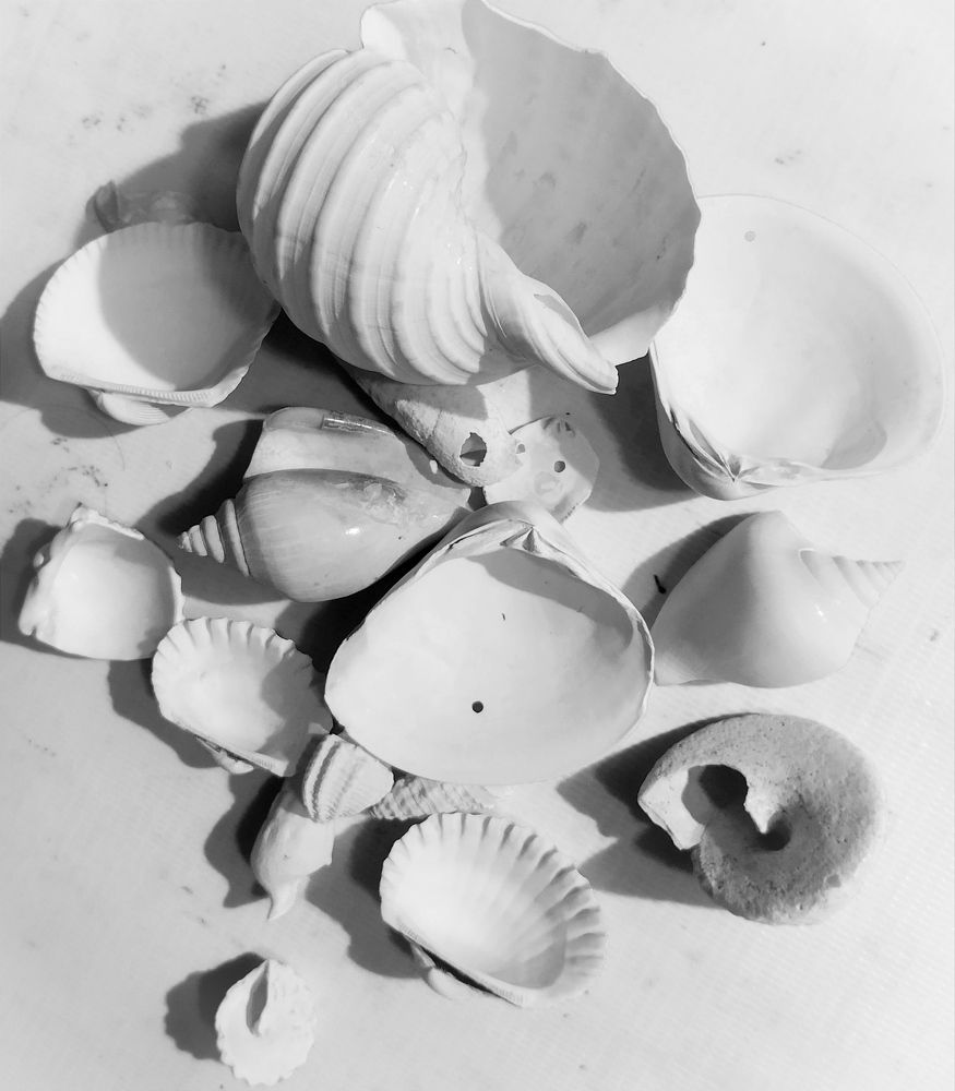 Photograph by Владимир Ким