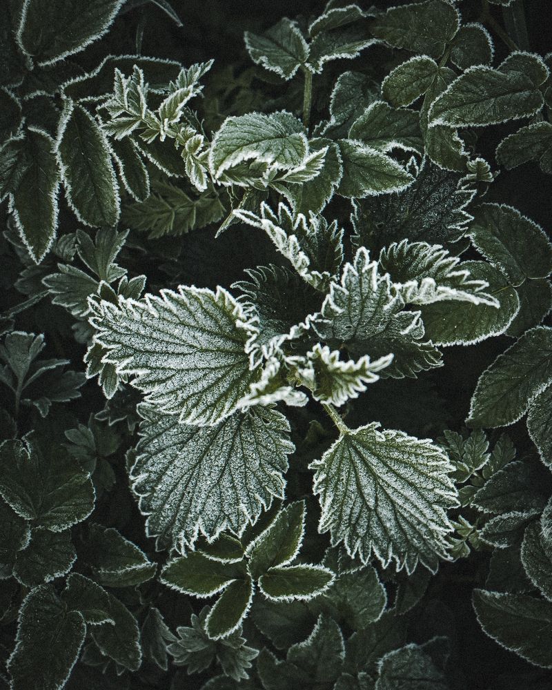 Photograph by Tatiana Grinko