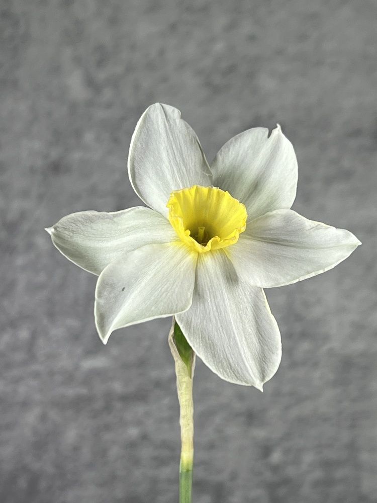 Photograph by Tatiana Grinko