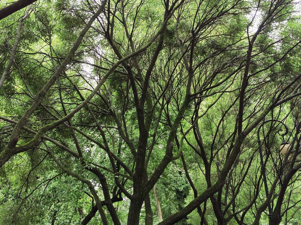 Photograph by Виталий Кореньков