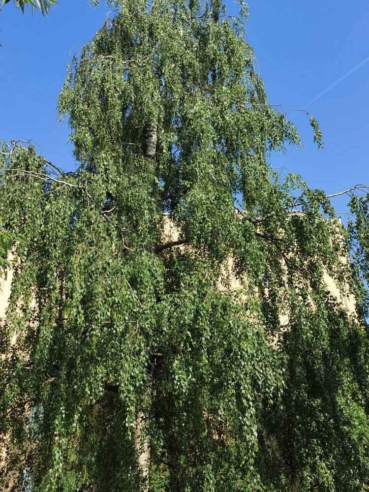 Photograph by Виталий Кореньков