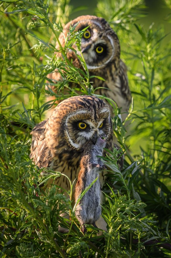 Photograph by Пупонин Сергей