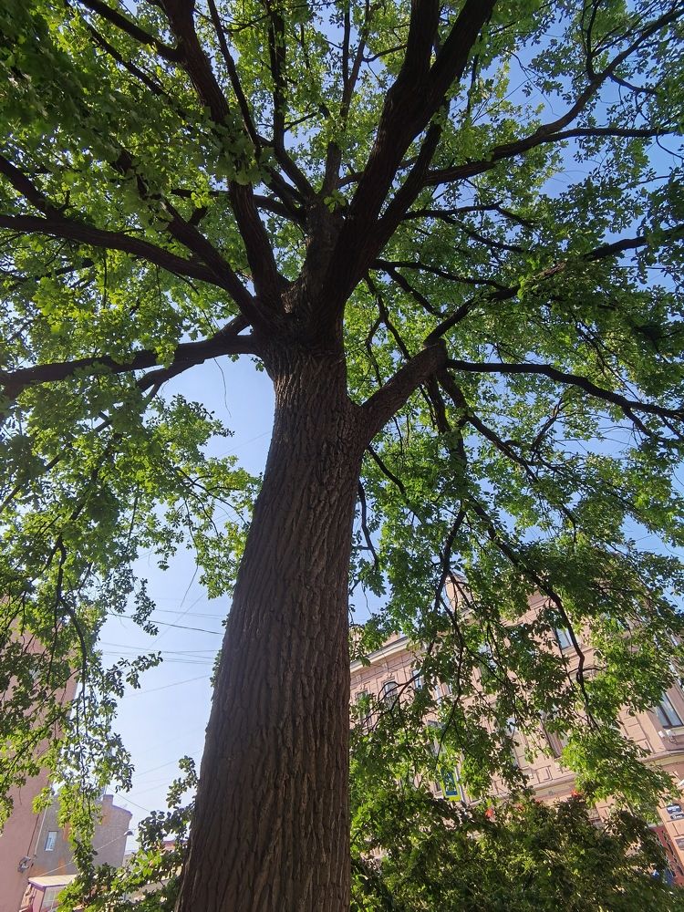 Photograph by Виталий Кореньков