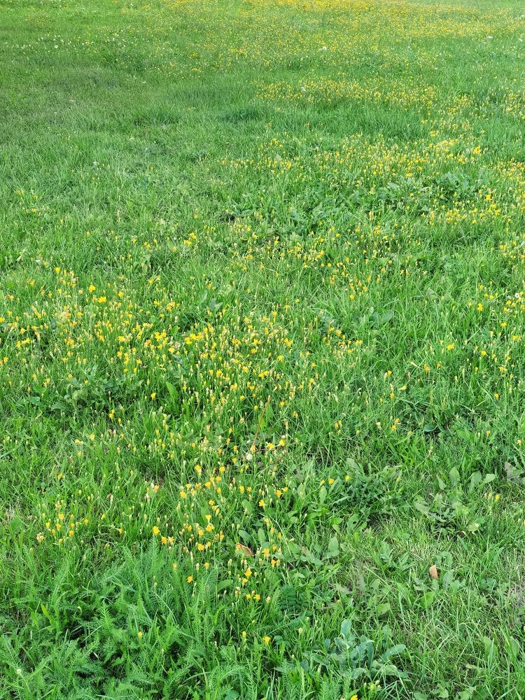 Photograph by Виталий Кореньков