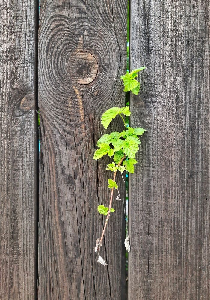 Photograph by Мария Андреева