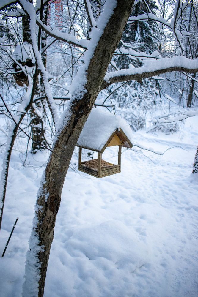 Photograph by Наталья Вялых