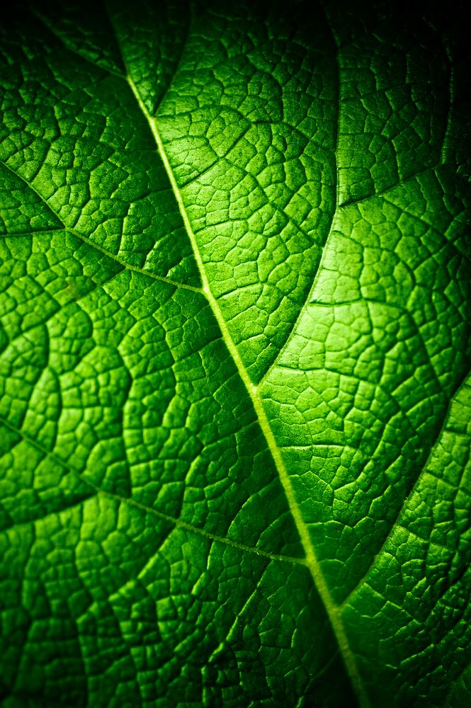 Photograph by Андрей Иванов