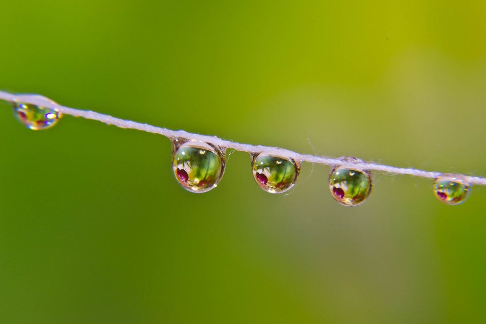 Фотография автора Юлия Кранина