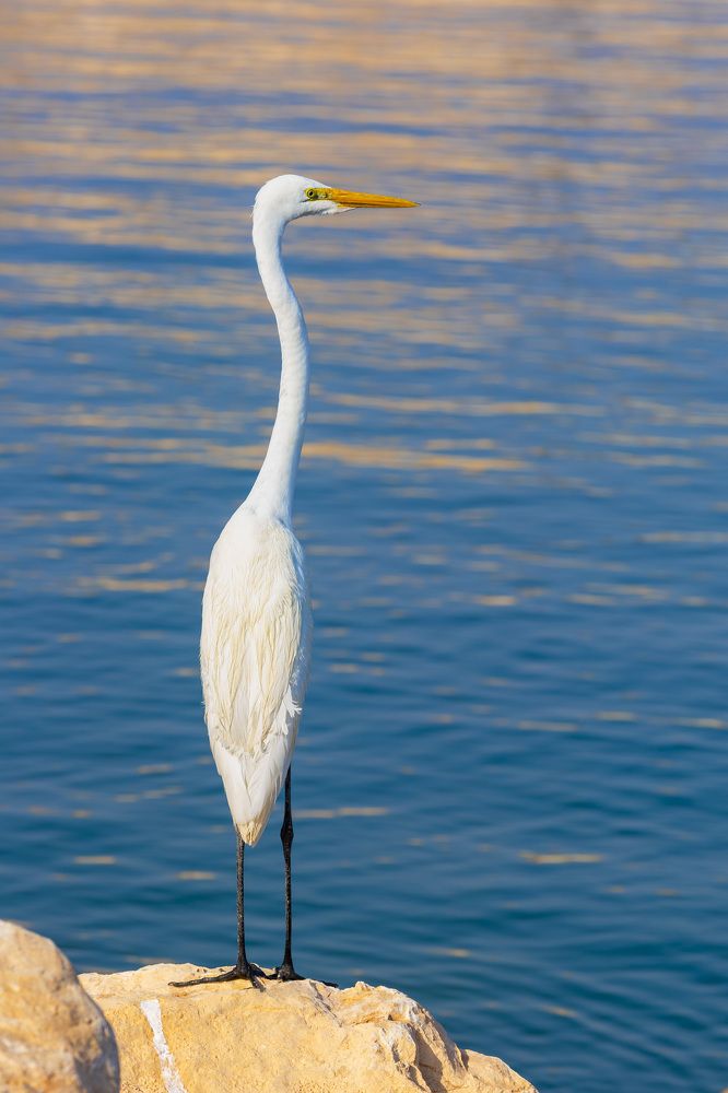 Photograph by Dhananjay Jadhav