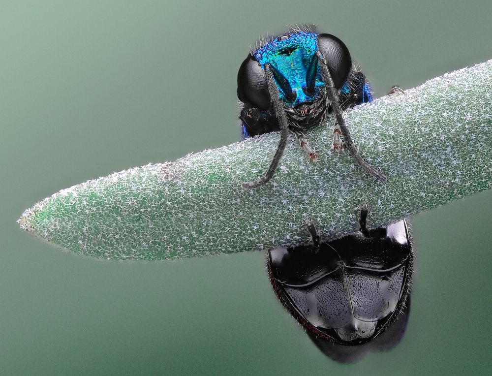 Photograph by Efraïm Baaijens