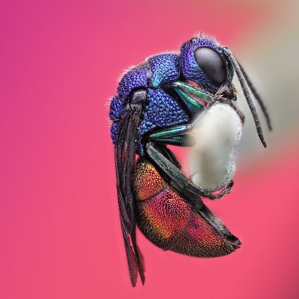 Photograph by Efraïm Baaijens