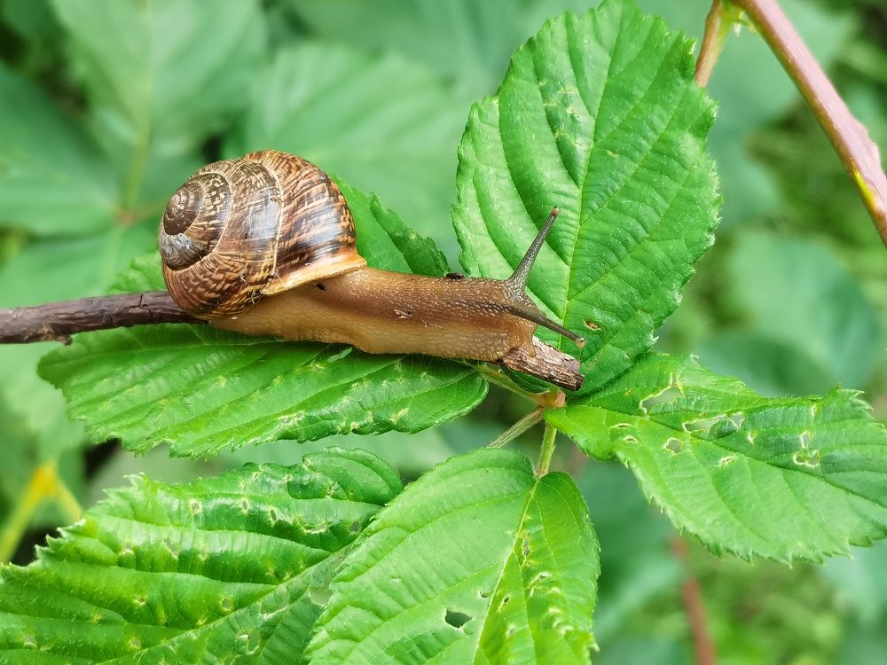 Photograph by Виталий Кореньков
