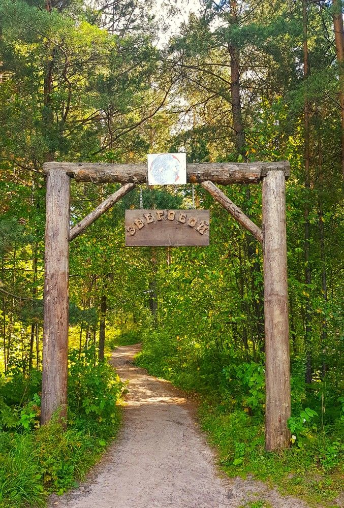 Фотография автора Максим Грибанов