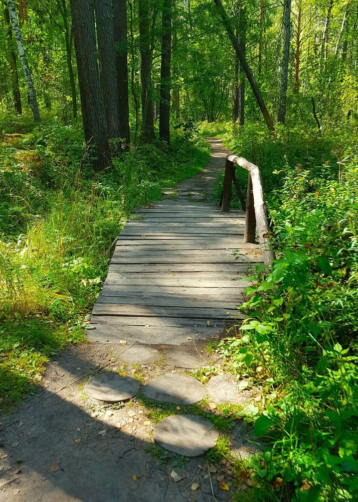 Фотография автора Максим Грибанов