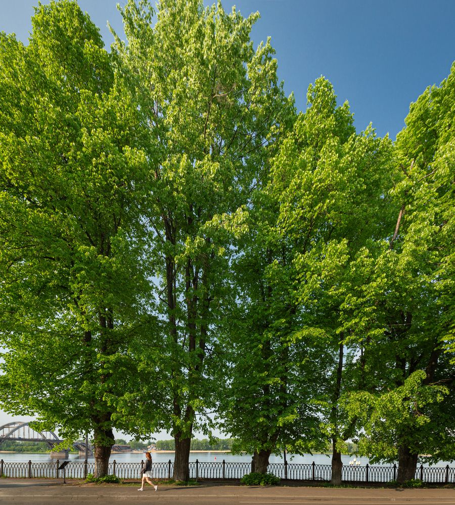 Фотография автора Вячеслав Коробов