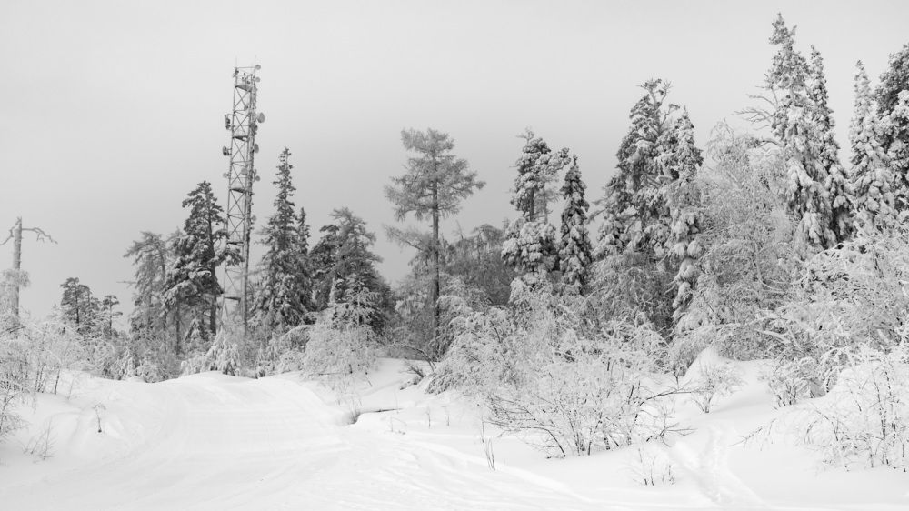 Photograph by Александр Ермаков