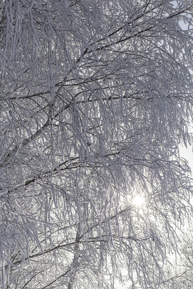 Photograph by Светлана Карнаух