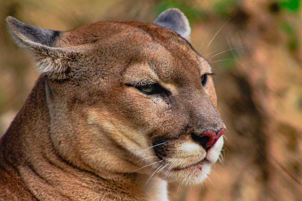 Photograph by Ziad Rizwan