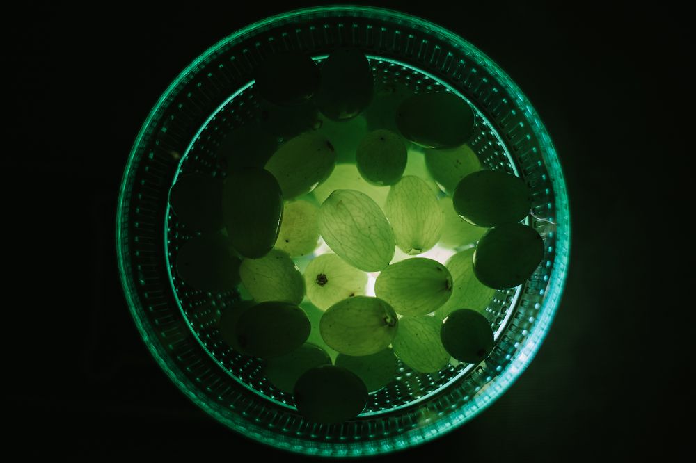 Фотография автора Дарина Фельдман