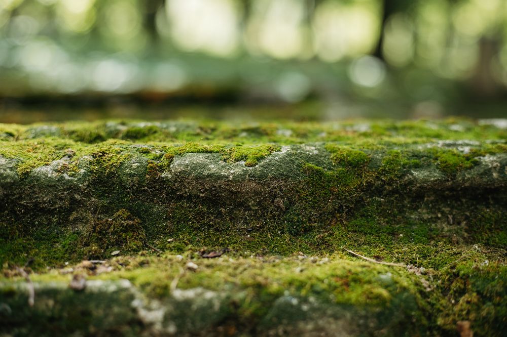 Фотография автора Дарина Фельдман