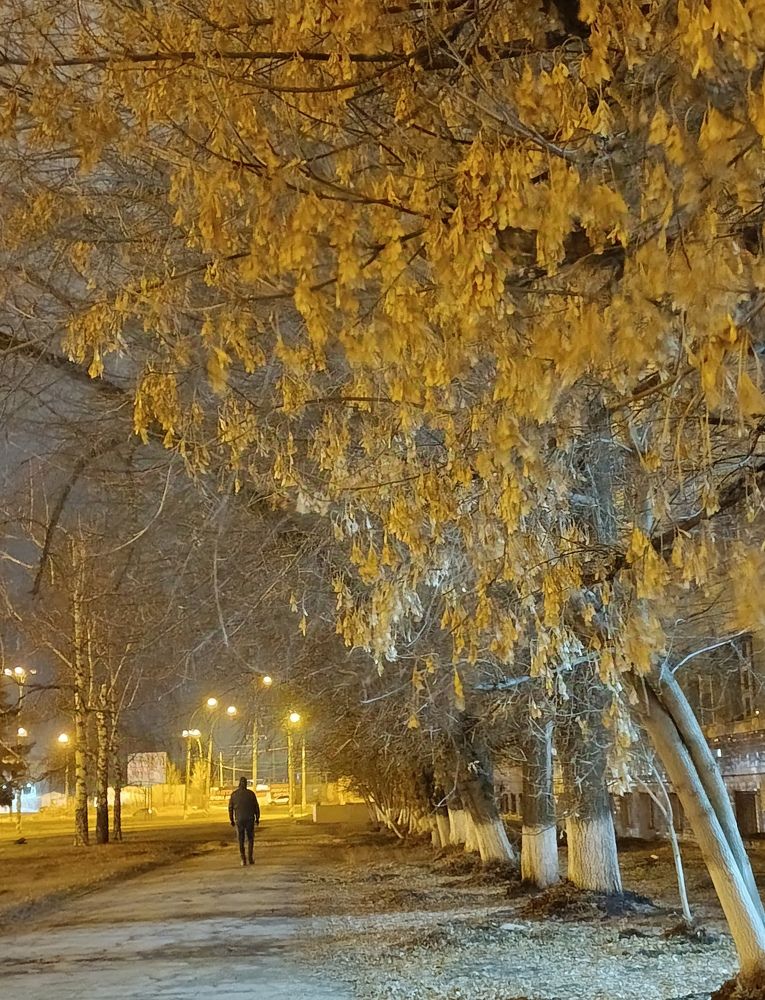 Photograph by Елена Глуховкина