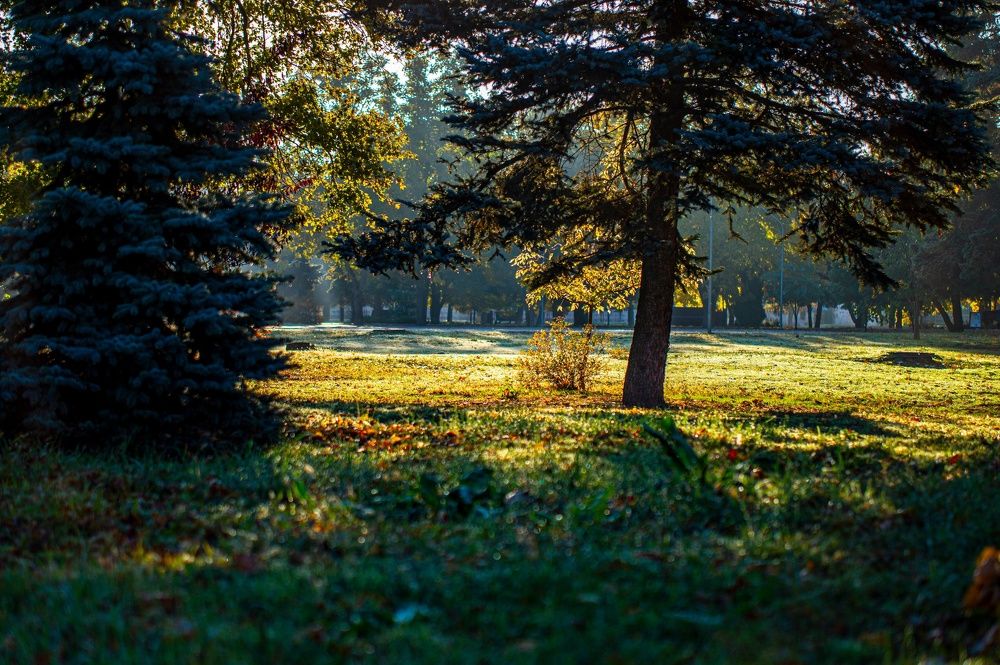 Photograph by Крупченко Роман