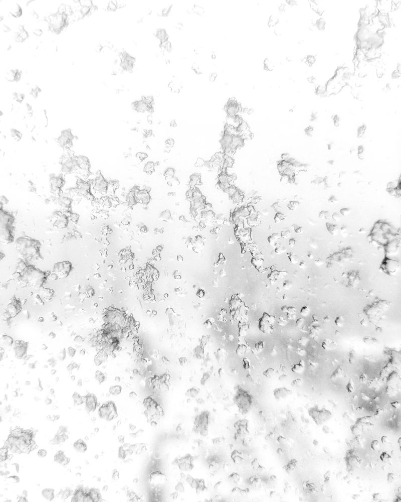 Photograph by Светлана Барабанова