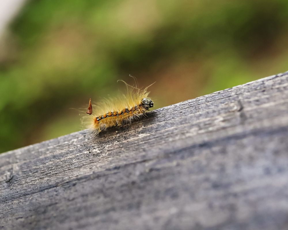 Photograph by Переверзева Татьяна