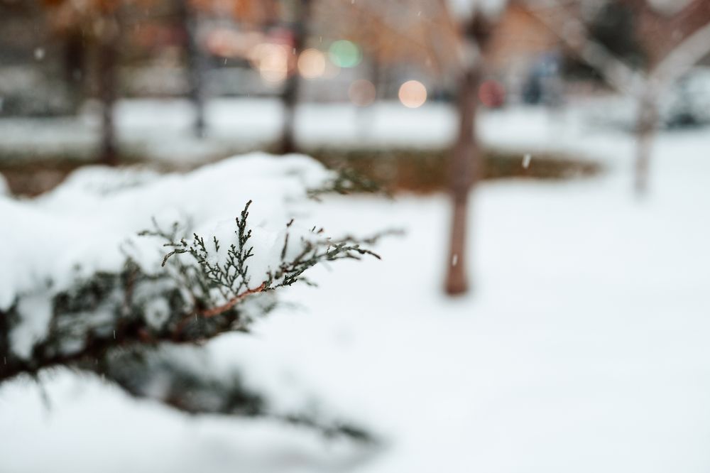 Фотография автора Дарина Фельдман