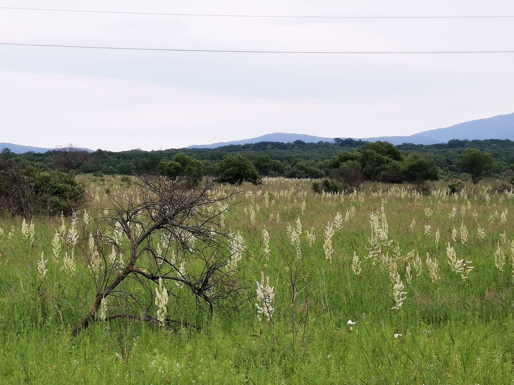 Photograph by Переверзева Татьяна