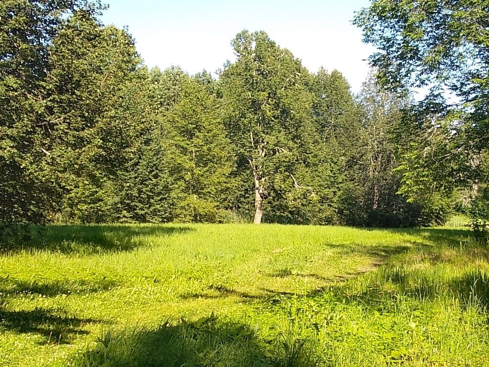 Photo #11407853