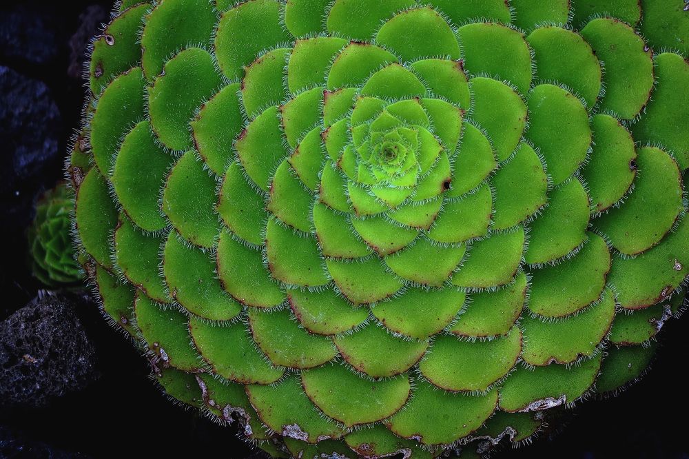 Фотография автора Moto Ambar