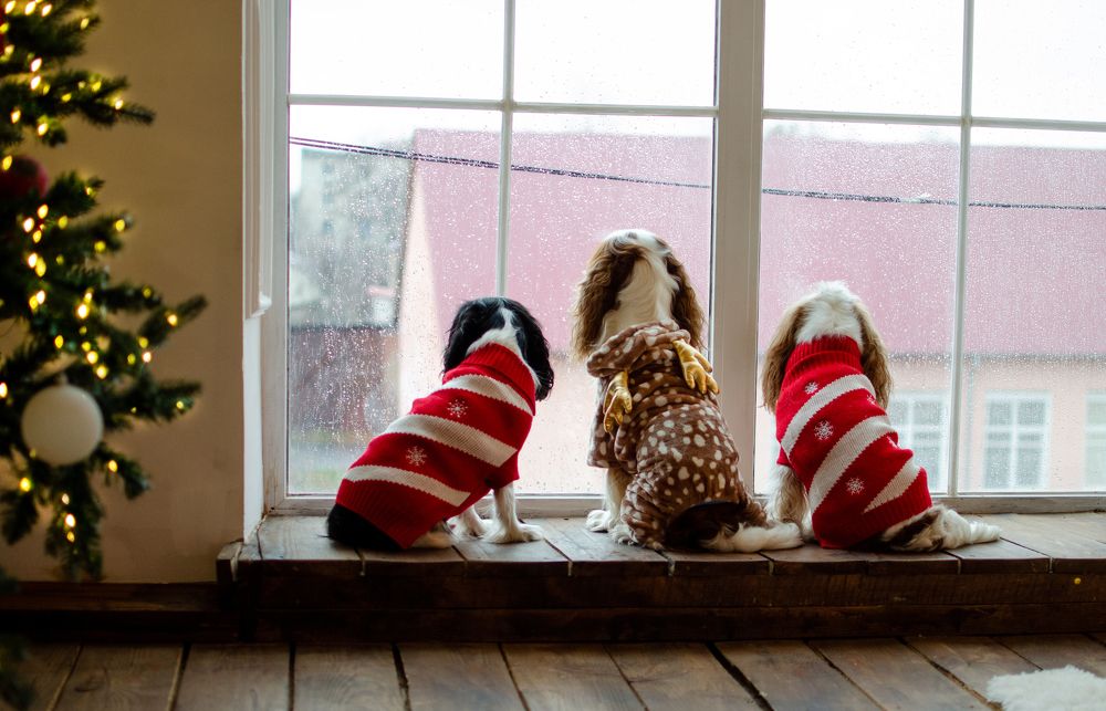 Photograph by Юлия Волгина