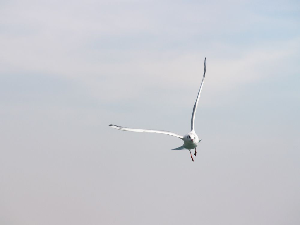 Photograph by Abdolreza Aleagha