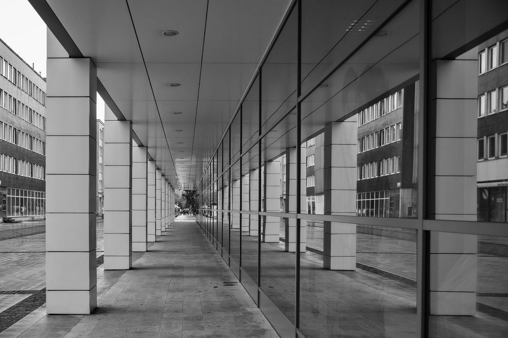 Photograph by Milan Cernak