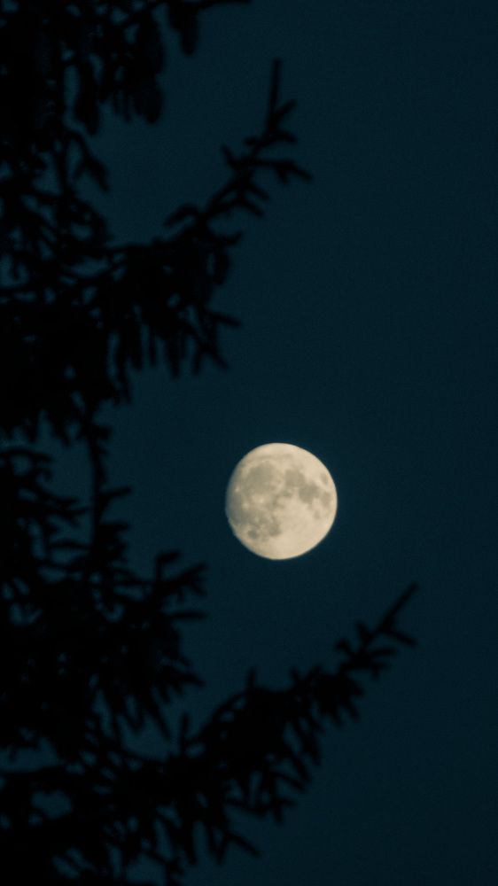 Фотография автора Анастасия Шафоростова