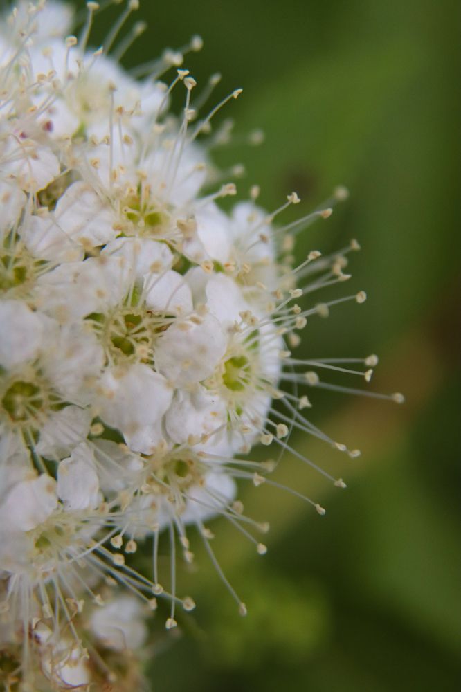 Photograph by Елена Рудкевич