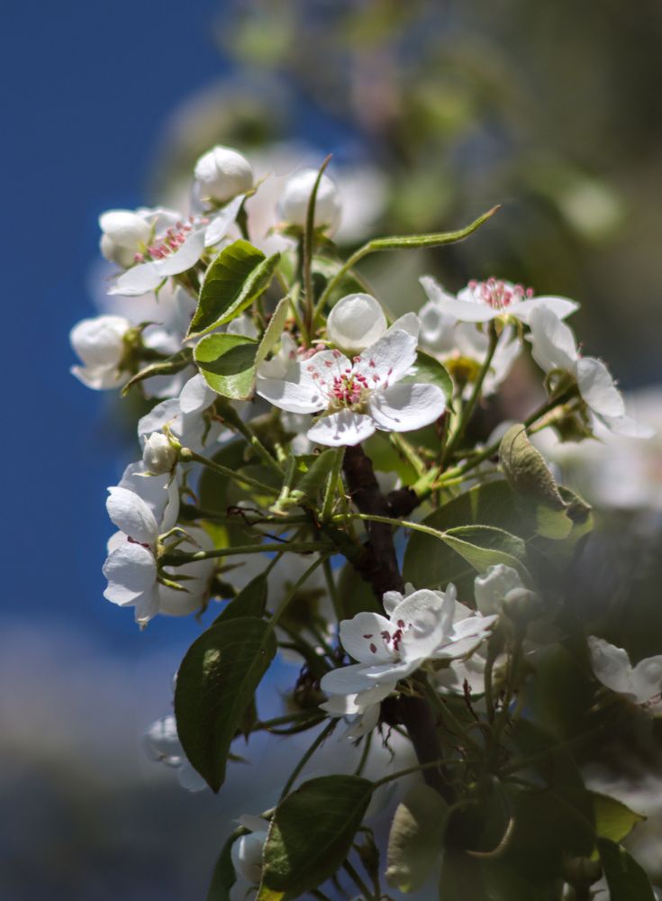 Photograph by Елена Рудкевич