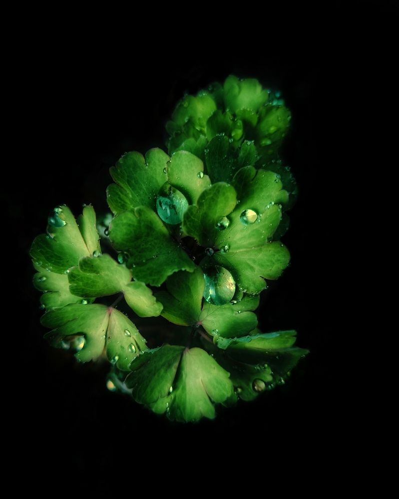 Photograph by Светлана Барабанова