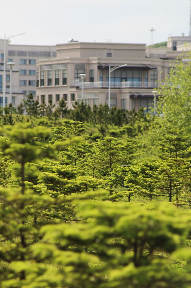 Photograph by Переверзева Татьяна