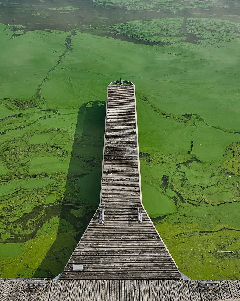 Photograph by Alexandra Sergeeva